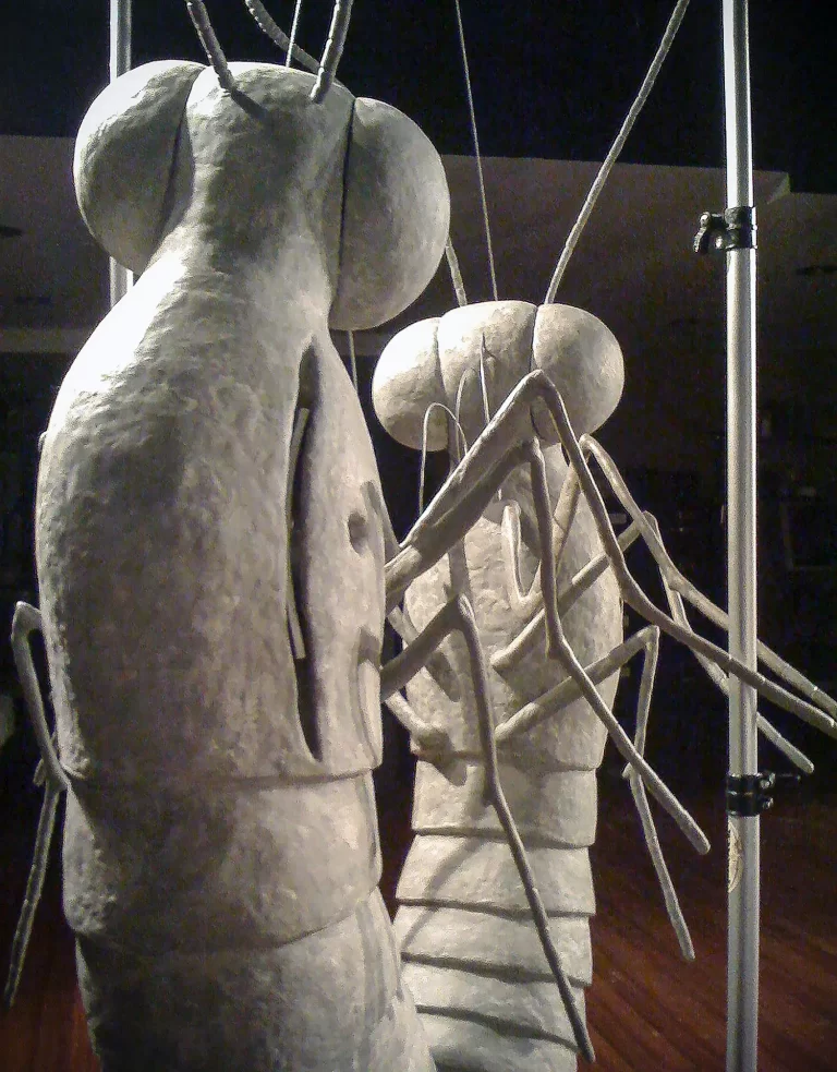 Detailed view of sculptural pair featuring rounded head forms and ring-segmented bodies with metal rod supports. Intimate positioning of pale larval-inspired sculptures demonstrates artistic exploration of lepidopteran transformation and reproductive processes through three-dimensional media.