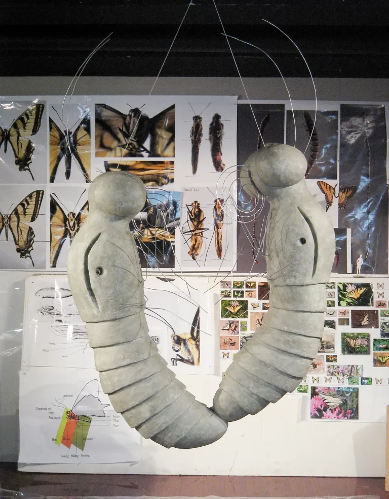 Artist studio image featuring hanging sculptural forms with bulbous heads and ring-segmented bodies displayed against extensive lepidopteran research materials. Creative workspace shows intersection of scientific butterfly documentation and artistic exploration of metamorphosis concepts through sculptural practice.