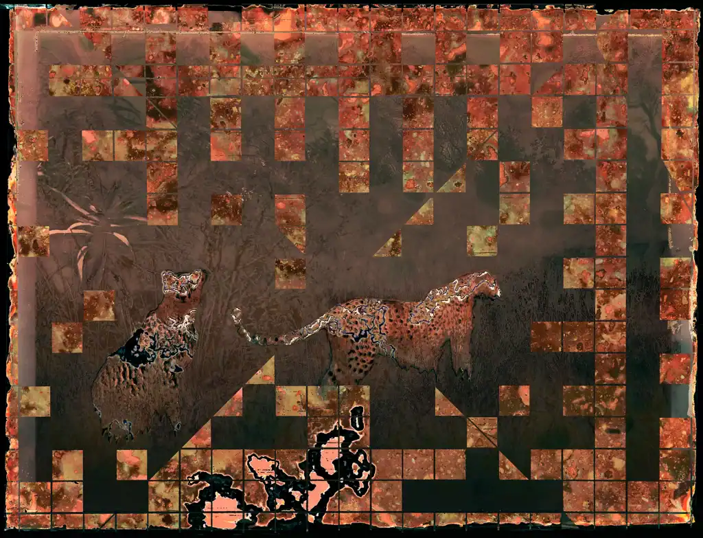 biologically-processed photographic artwork artwork depicting leopard specimens through time-lapse biological processing methods, showing wildlife preservation themes via segmented composition with oxidation effects and earth-toned deterioration patterns.
