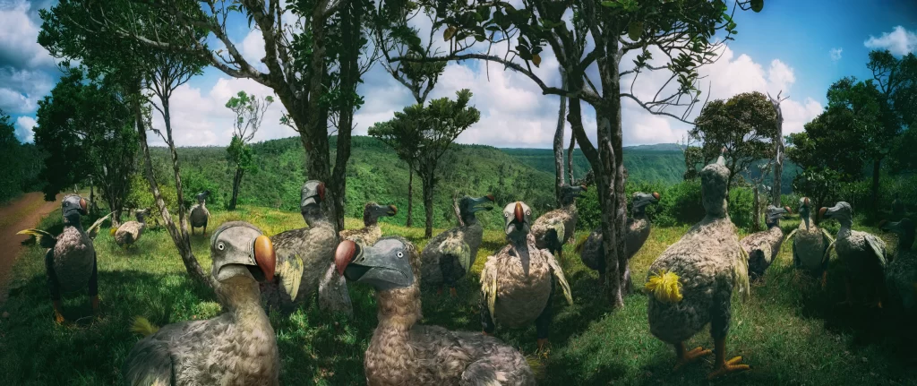 Numerous full-scale dodo replicas spread throughout the highland meadows of Black River Gorges, Mauritius, recreating a vast congregation of the extinct species in their former mountain territory.