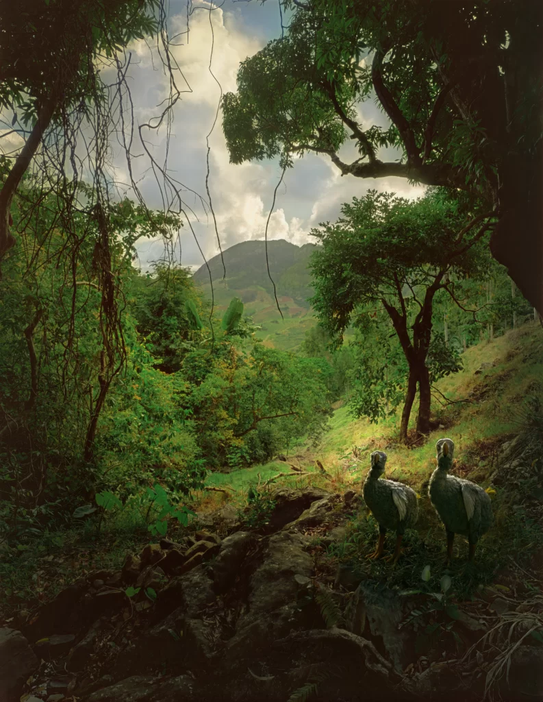 Pair of dodo reconstructions standing on stone trail at Domain du Chasseur, Mauritius, amid dense jungle vegetation with mountain landscape visible through the forest canopy.