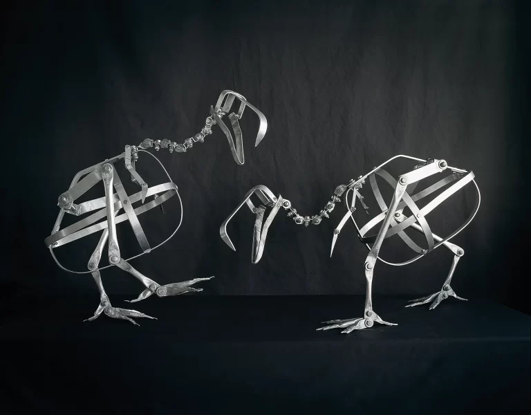 Pair of sophisticated mechanical frameworks featuring polished metal components and pivot joints designed for mounting dodo specimens. Museum-grade armatures with central torso cages and articulated positioning elements positioned to suggest specimen interaction capabilities.