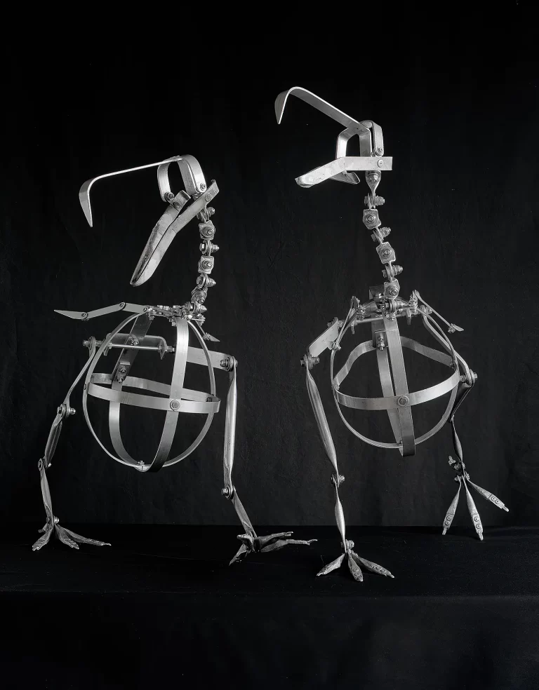 Pair of sophisticated mechanical frameworks featuring polished metal construction with complete bird-form armatures including cage torsos, flexible neck supports, and detailed leg assemblies. Museum-grade mounting systems positioned to suggest specimen interaction capabilities for dodo reconstructions.