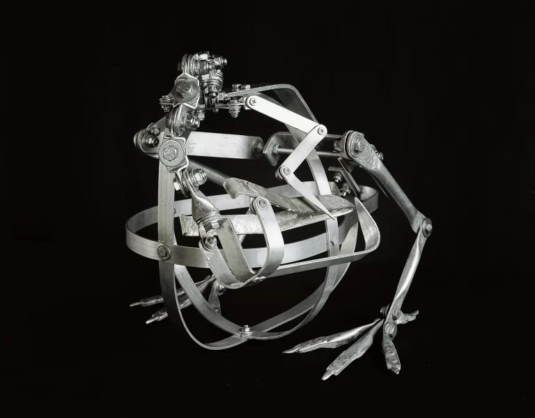 Intricate mechanical framework featuring elaborate polished metal construction with intersecting cage rings, articulated joints, and hydraulic systems. Museum-grade precision armature demonstrating advanced engineering for dynamic dodo specimen positioning and support.