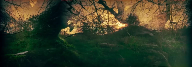 Panoramic multi-exposure pinhole photo of magical forest.