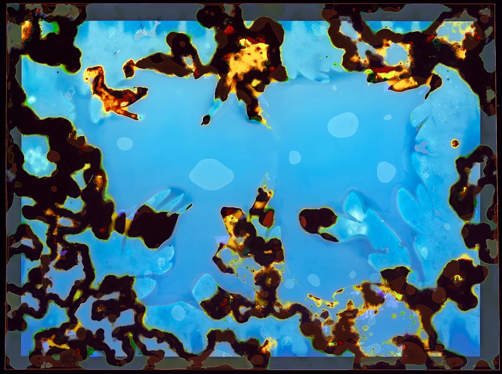 Biologically-processed photographic artwork "Incubator-#2" (2019) from Morphological Life Form Studies Lab featuring azure cellular suspension within labyrinthine emulsion decay boundaries, demonstrating fractal reorganization into enclosed life-structure formations.