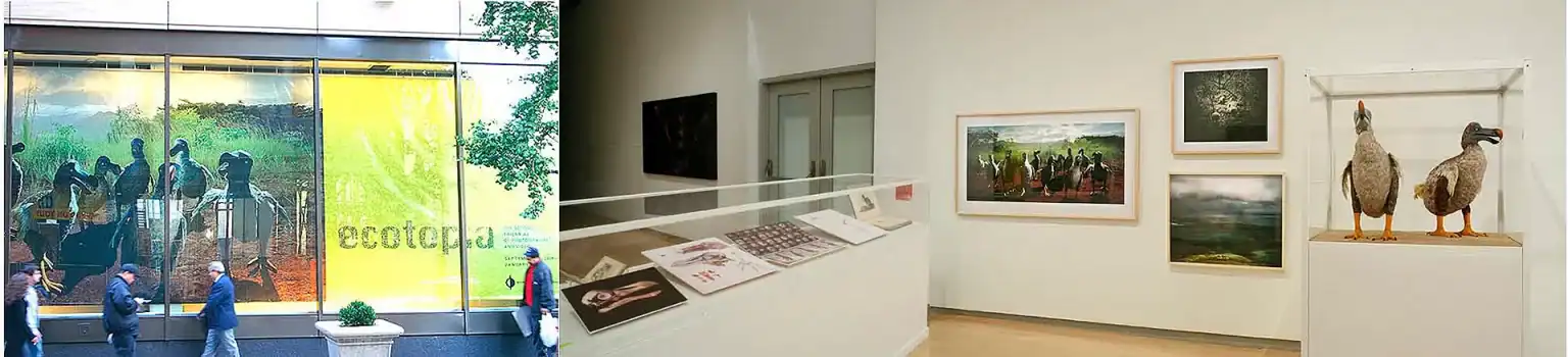 Exhibition view at the International Center of Photography’s “Ecotopia” show in NYC, 2006, Outside views and showing gallery of framed photographs, and life-sized dodo sculptures from Harri Kallio’s “Imaginary Encounters” series.