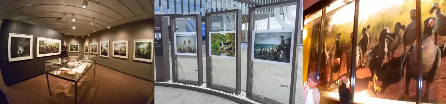 Gallery installations featuring Harri Kallio’s dodo sculptures and photographic prints George Eastman House, “Why look at animals”, 2006 / “World Water Forum 2015”, South Korea- Seoul, 2015 / ICP Ecotopia, 2006, NYC