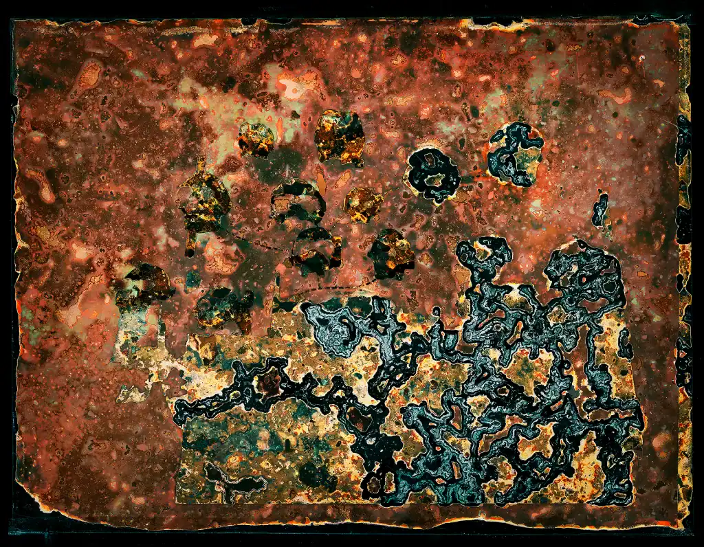 Experimental photograph featuring scattered human forms across unified rust-colored field created through extended biological imaging processes. Multiple silhouettes show diverse organic decay states and mineral staining effects, representing temporal genealogical progression with fossil-like surface deterioration and continuous chemical oxidation.