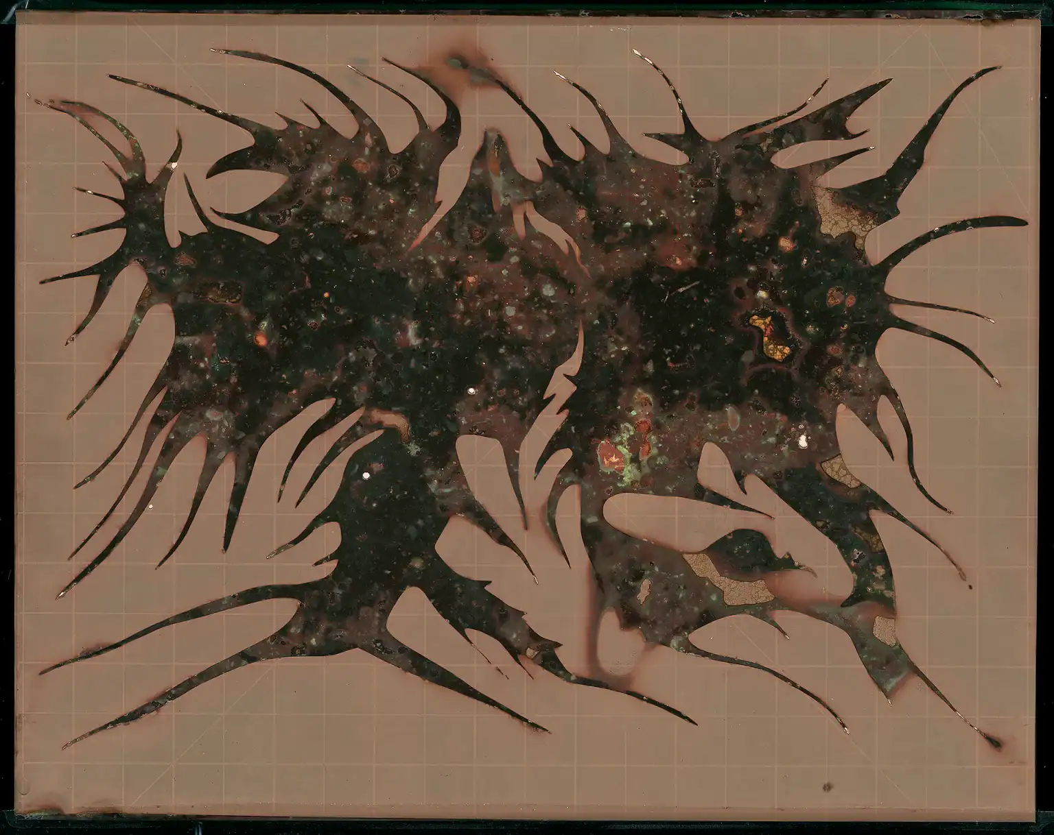 Biologically-processed photographic artwork "Incubator-#3" (2025) from Morphological Life Form Studies Lab featuring spinal biomorphic emergence through emulsion decay processes, demonstrating fractal reorganization into living-structure formations with thorny cellular projections.