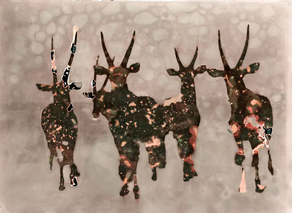biologically-processed photographic artwork. A fossil-like photograph of antelope group