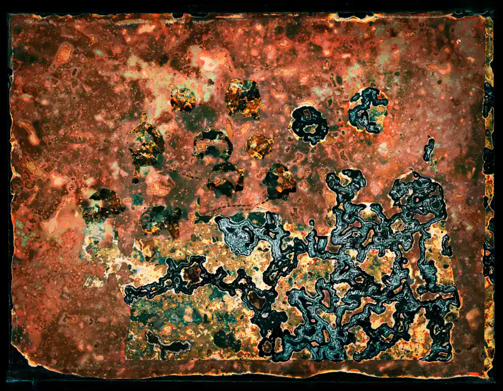Homo-sapiens & Others, Part 2, 2024 — scattered human and animal head forms nearly consumed within a deep crimson and rust field, a teal biological network advancing across the lower half of the frame.