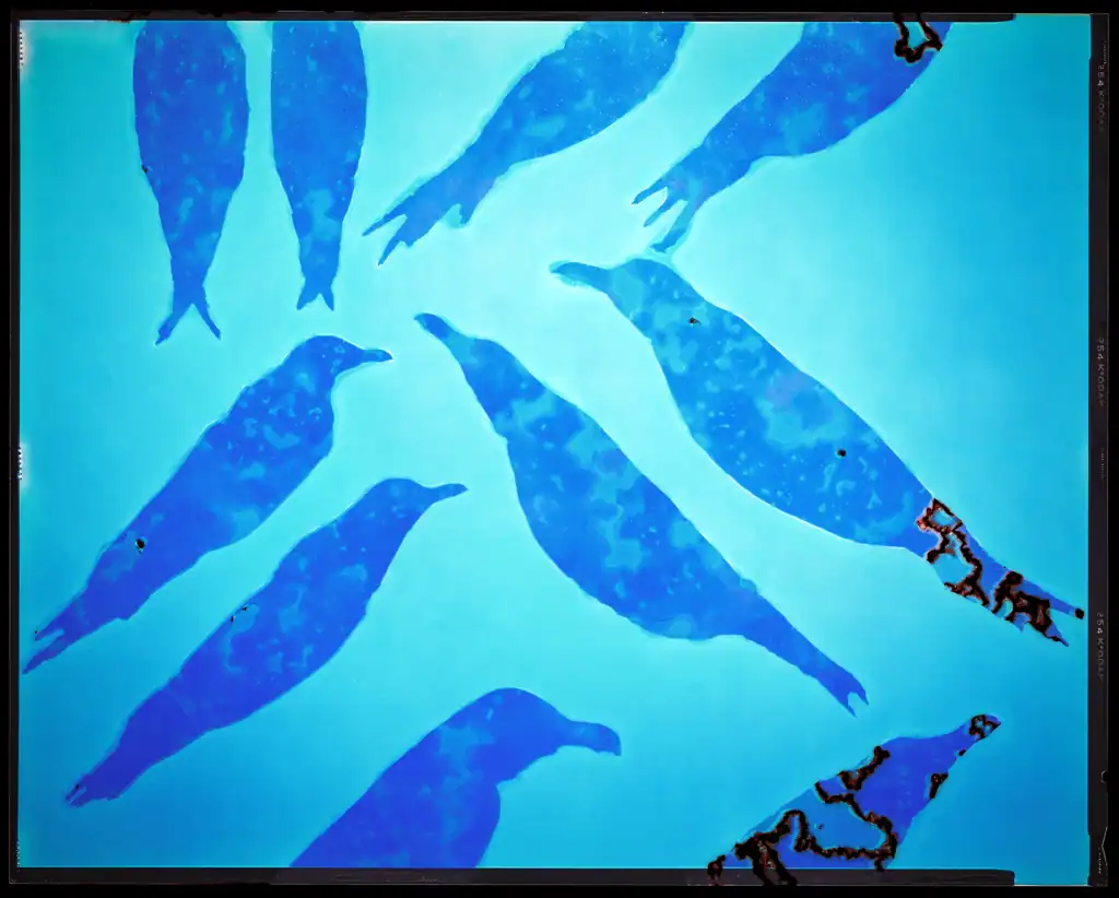 Larus (Gulls), 2024 — nine gull forms in deep blue drift across a luminous cyan ground, two figures at lower right fragmenting into rust and biological erosion.