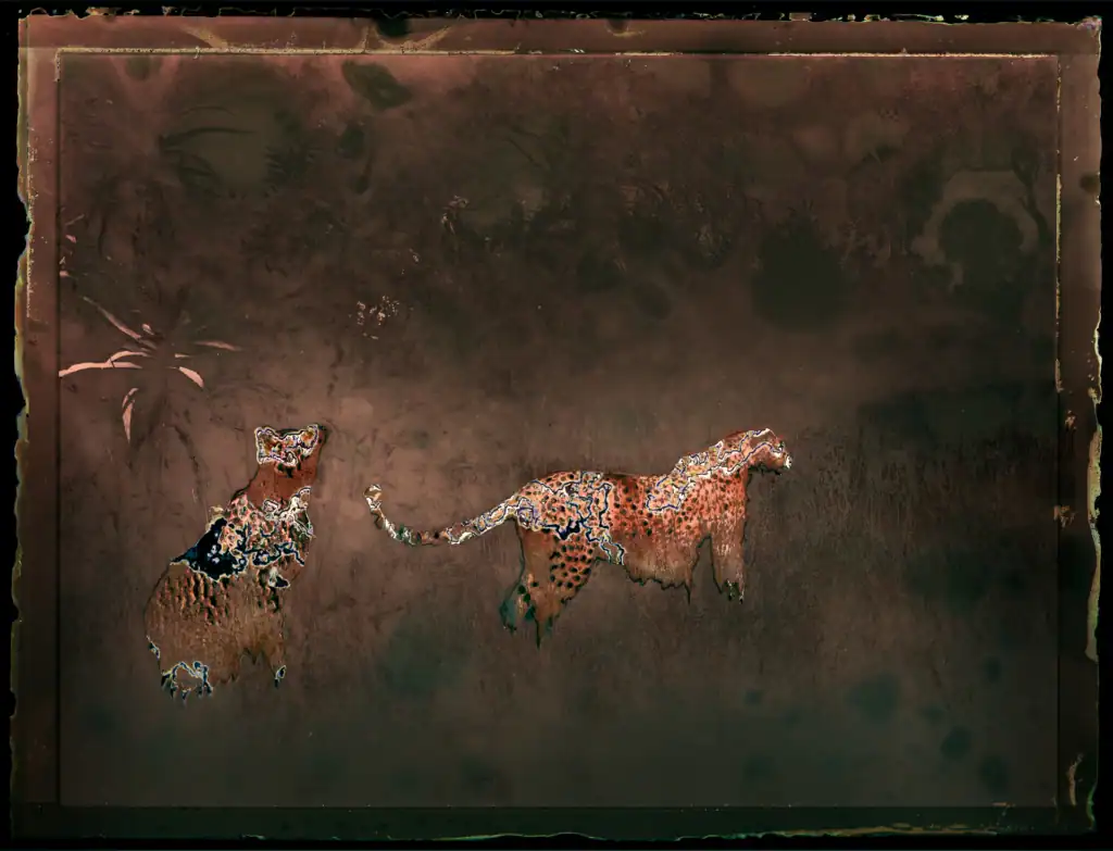 Biologically processed vintage photograph of two leopards in dense vegetation, their spotted forms outlined in electric blue against a deep brown atmospheric ground.