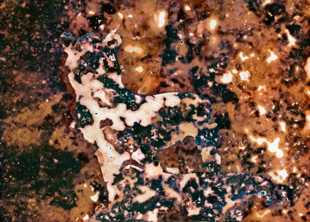 Biologically processed vintage photograph of two lions, its pale silhouette emerging from a dense field of rust, ochre, and dark decomposition against an earthy ground.