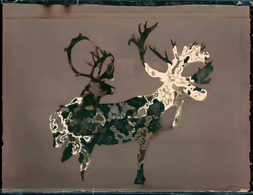 biologically-processed photographic artwork of caribou, poro group with antlers on a brown background.