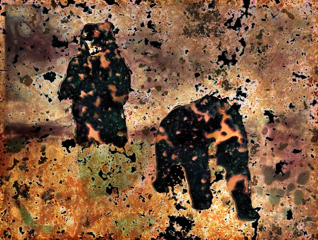 ursus Arctos, 2024 — two brown bears, one upright and one on all fours, as dense black forms against a molten field of amber, rust and scattered ochre.