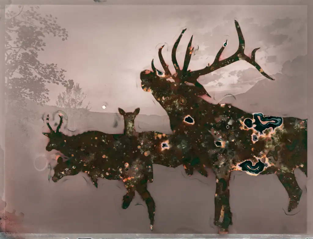 biologically-processed photographic artwork, mixed media artwork depicting wildlife silhouettes through experimental photography techniques, featuring stag with antlers and deer family against natural landscape, created using biological processing methods with earth-based materials on segmented composition.