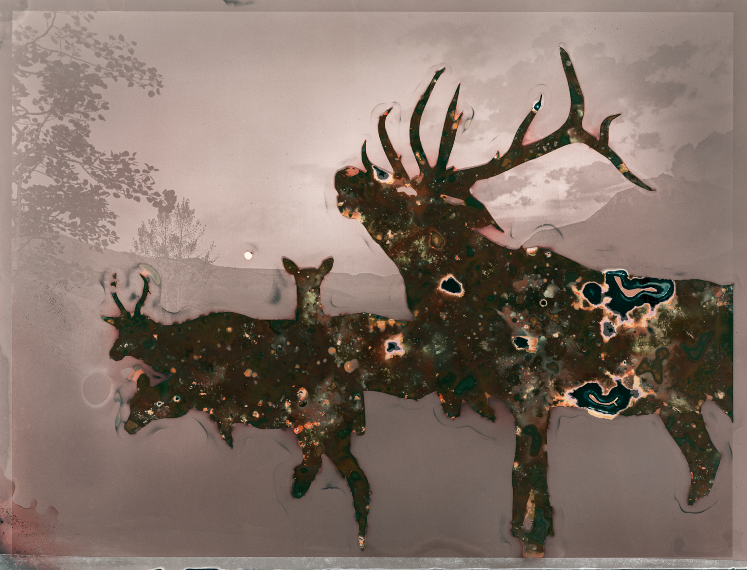 biologically-processed photographic artwork, mixed media artwork depicting wildlife silhouettes through experimental photography techniques, featuring stag with antlers and deer family against natural landscape, created using biological processing methods with earth-based materials on segmented composition.